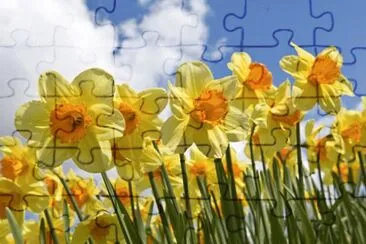 Narciso jigsaw puzzle