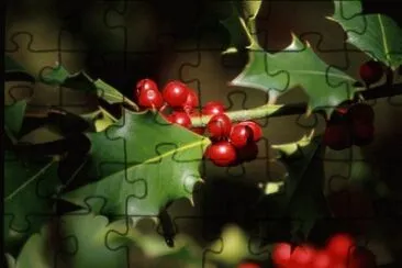 Agrifoglio jigsaw puzzle