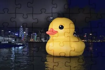Duck in the Hong Kong Harbour