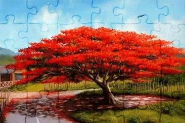 Flamboyan Pintura