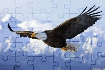 animales jigsaw puzzle