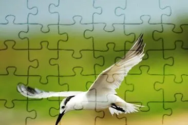 animales jigsaw puzzle