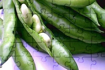 fava