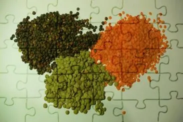 lenticchie jigsaw puzzle