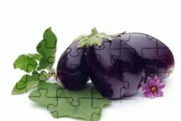 melanzana jigsaw puzzle