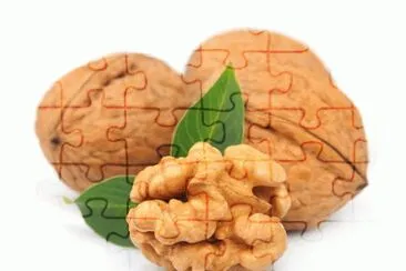 noce jigsaw puzzle