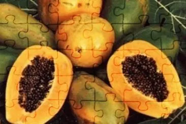 papaya