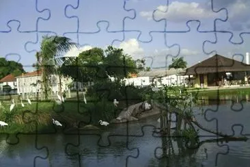 Mangal das Garças _ Belém _PA