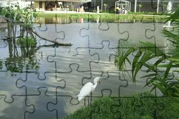 Mangal das GarÃ§as 1 - Belem - PA jigsaw puzzle