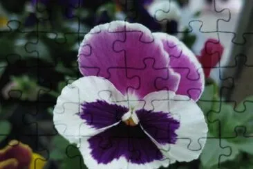 èŠ± jigsaw puzzle
