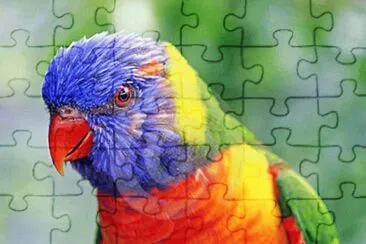 Loro colorido