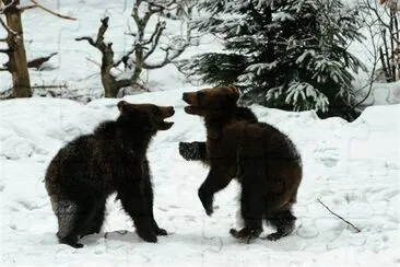 winter jigsaw puzzle