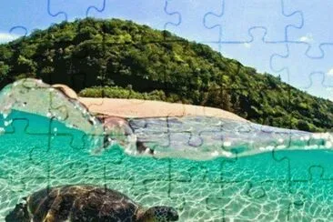 Tartaruga Marinha jigsaw puzzle
