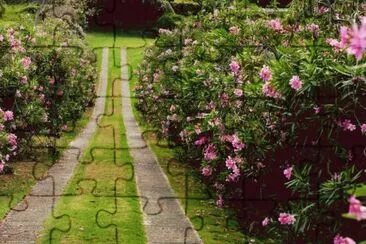 JardÃ¬