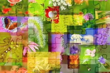 פאזל של Spring
