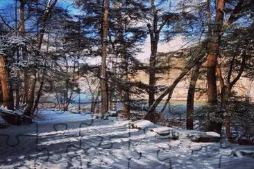 פאזל של Elwood City Pa. a winter path walk