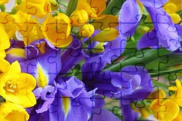 פאזל של Spring