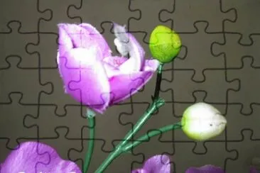פאזל של FLOR