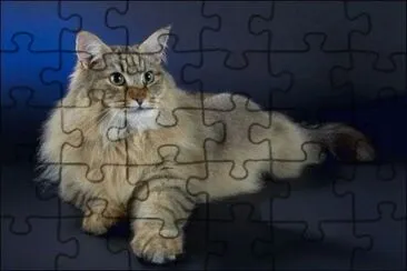 skogkatt jigsaw puzzle