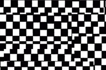 Blanco y Negro jigsaw puzzle