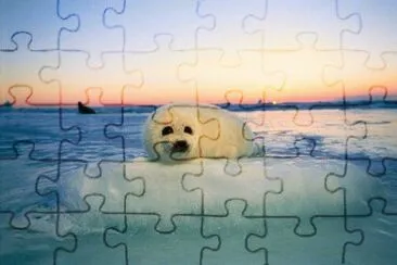 winter jigsaw puzzle