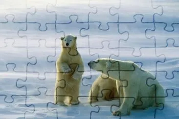 winter jigsaw puzzle