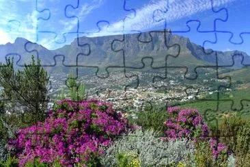 פאזל של South African view
