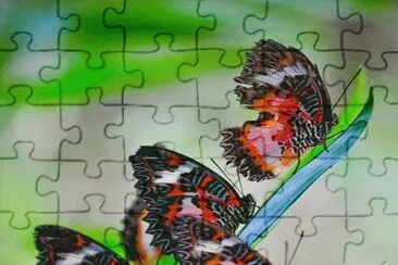 . jigsaw puzzle