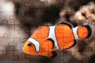 . jigsaw puzzle