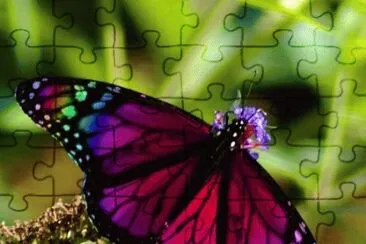 . jigsaw puzzle