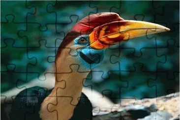 . jigsaw puzzle