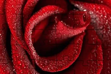 . jigsaw puzzle