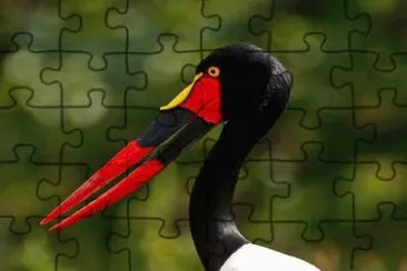 . jigsaw puzzle