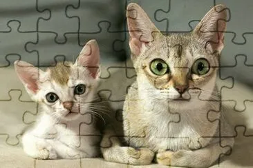 mom jigsaw puzzle