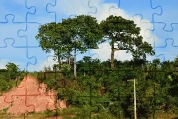 Castanheiras - Tefé - AM jigsaw puzzle