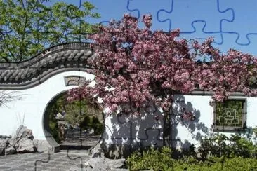 Chinese Garden  Montreal