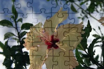 Hibiscus jigsaw puzzle