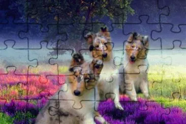 Blue Merle Rough Collie Puppies jigsaw puzzle