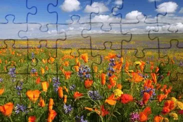 Colorful Landscape jigsaw puzzle