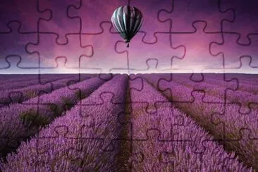 hotfly jigsaw puzzle