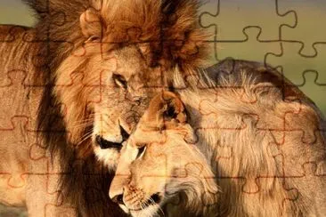 leones