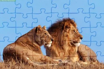 leones
