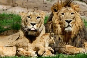 leones jigsaw puzzle