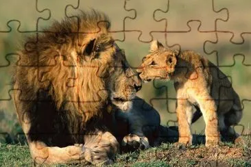 leones jigsaw puzzle