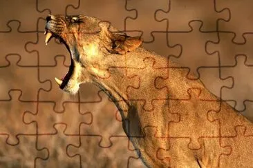 leones jigsaw puzzle