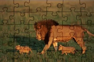 leones jigsaw puzzle
