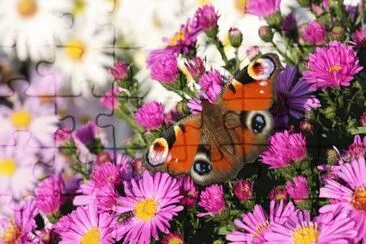פאזל של Butterfly on Pink Flowers