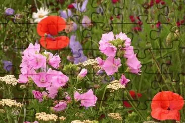 Flower Garden jigsaw puzzle
