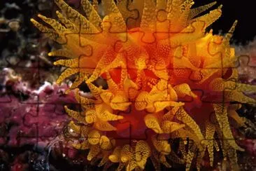 Tangle jigsaw puzzle