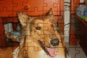 martagargas jigsaw puzzle